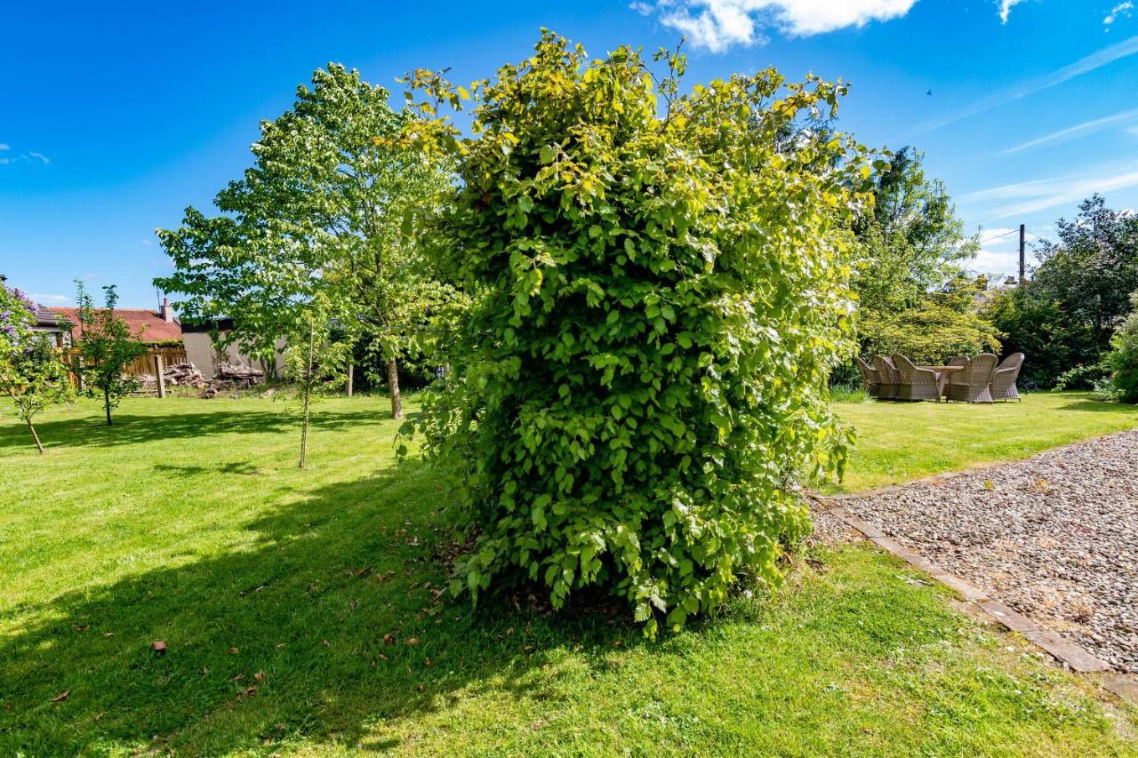 Rosebank House Blairgowrie - Sleeps 12, Games Rooms, Ev Point, Pets Welcome Blairgowrie and Rattray Экстерьер фото